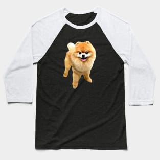 Pomeranian Dog with Style! Baseball T-Shirt